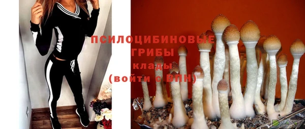 прущий лед Абаза