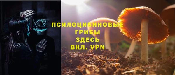 стаф Абдулино