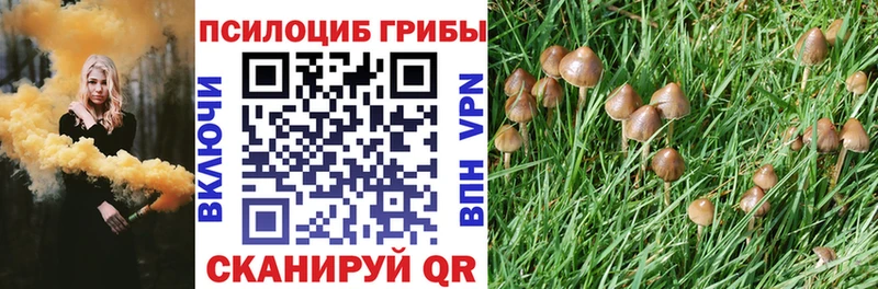 Псилоцибиновые грибы GOLDEN TEACHER  где найти наркотики  Электроугли 